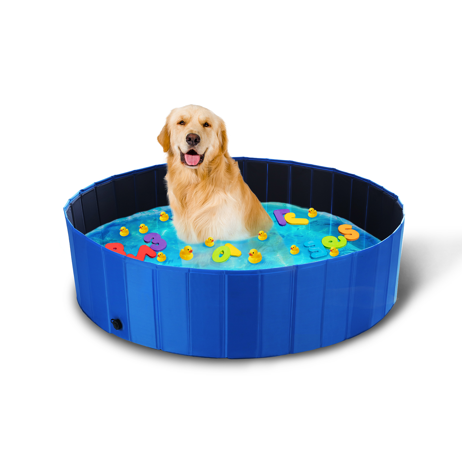 baby pools for dogs