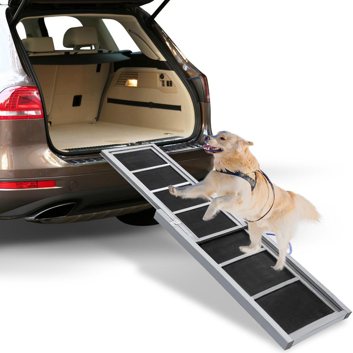 ladder for dog to get in car