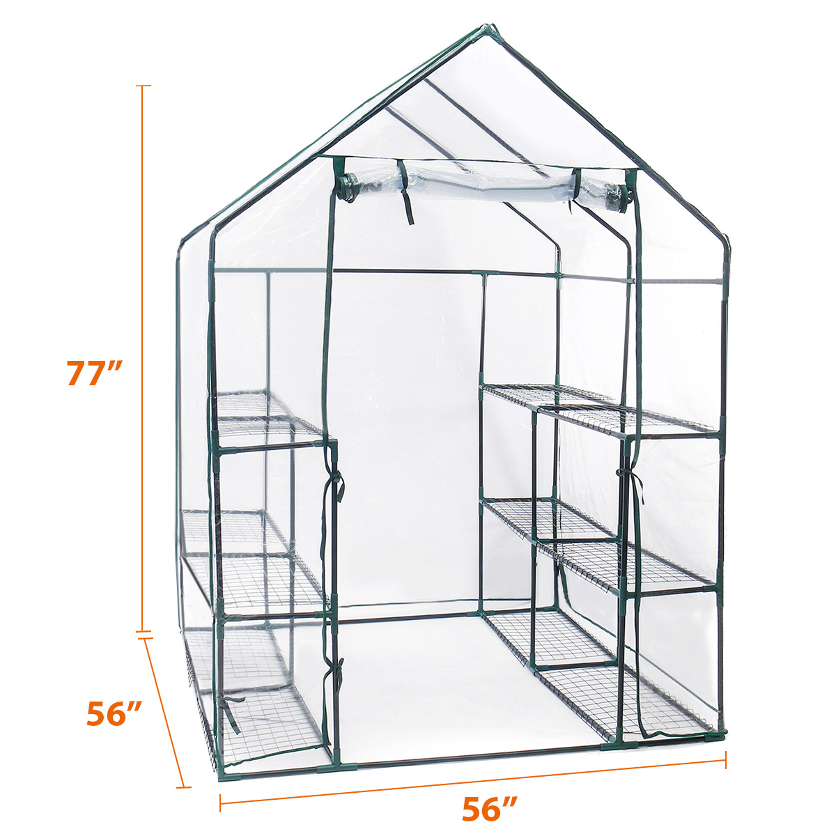 56x56x77 in. Mini Greenhouse with Roll Up Zipper Door & 12 Sturdy